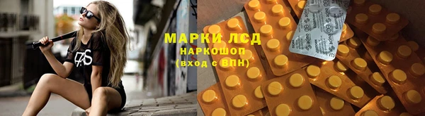 мдпв Пестово
