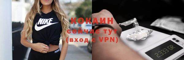 мдпв Пестово