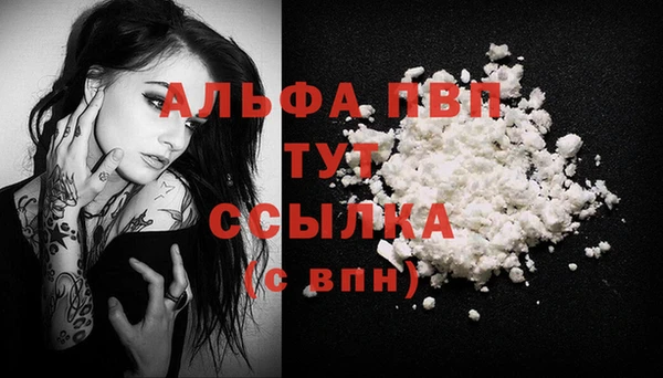 PSILOCYBIN Пересвет