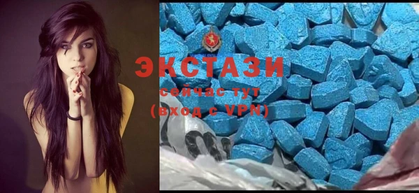 мдпв Пестово